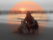 honden foto van rienekehuiskamp