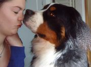 honden foto van Katrien