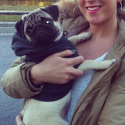 honden foto van Kelly