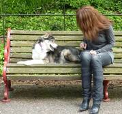 honden foto van Sabine van der Zwan