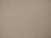 honden foto van Dennis