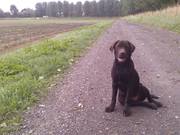 honden foto van Esther