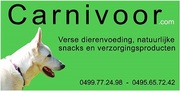 honden foto van bart