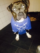 honden foto van Elise