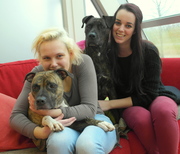 honden foto van MichelleAnnette