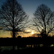 honden foto van lieke ^^