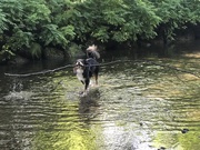 honden foto honden foto van Selina