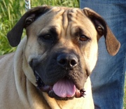 honden foto van Rita