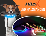 honden foto van Bobby - Hilox Led halsbanden
