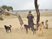 honden foto van Milia Mot