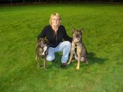 honden foto van Sjan