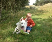 honden foto van amanda