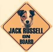 honden foto van Armanda