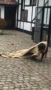 honden foto van Jan