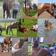 honden foto van Larissa L&G
