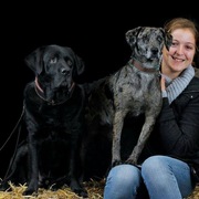 honden foto van Danielle 