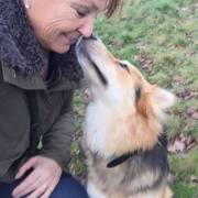 honden foto van Jolanda