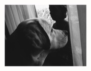 honden foto van Nadja