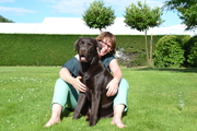 honden foto honden foto van Colette Frankort