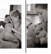 honden foto honden foto van Dominique