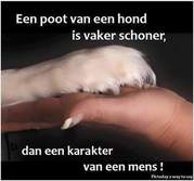 honden foto van peters