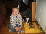 honden foto van dimitri
