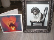 honden foto van Ria Vincent R.I.P.Vienna en Diego