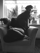 honden foto van Nicole