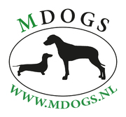 honden foto van MDogs - Miriam Nijdam-May