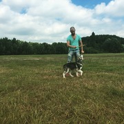 honden foto honden foto van Mieke