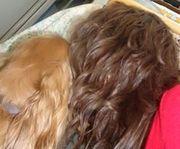 honden foto van Marcia cottem