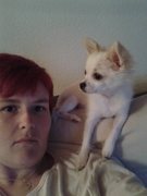 honden foto honden foto van sara van nauw