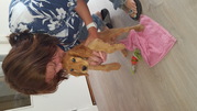 honden foto van Corina en Lynne