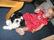 honden foto van jolanda