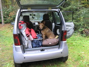 honden foto van henny