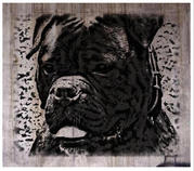 honden foto van helena