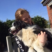 honden foto honden foto van Pilou