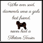 honden foto van Ilse