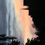 honden foto honden foto van monique