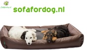 honden foto van sofafordog.nl