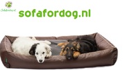 honden foto honden foto van sofafordog.nl