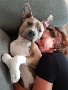 honden foto van N Verhoef