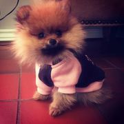 honden foto van Chika&naomie