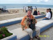 honden foto honden foto van mathilda