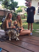 honden foto van Lovina