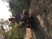 honden foto van Anne