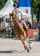 honden foto van Coco de hond