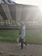 honden foto honden foto van Maaike