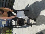 honden foto van Claudia