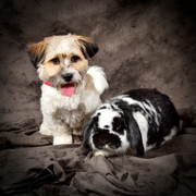 honden foto honden foto van Odi2017!